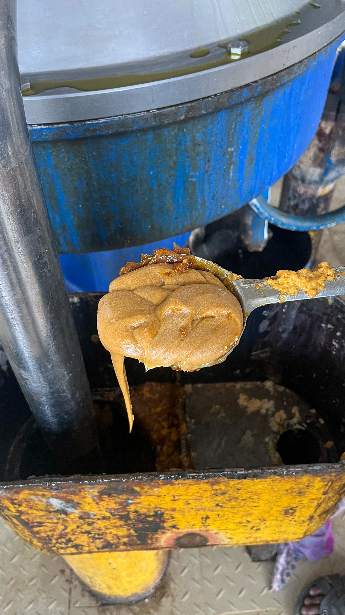 a spoonful of soybean oil byproduct 