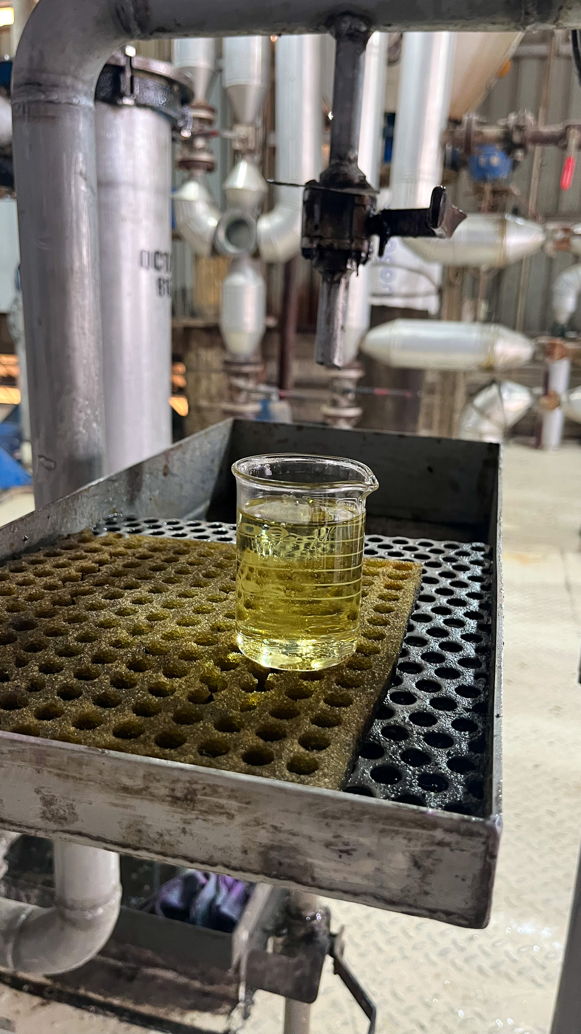 A glass beaker full of soybean oil