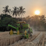 A mechanized harvester harvesting wheat with the sun setting in the background