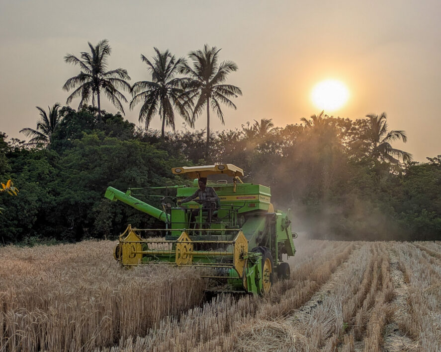 A mechanized harvester harvesting wheat with the sun setting in the background
